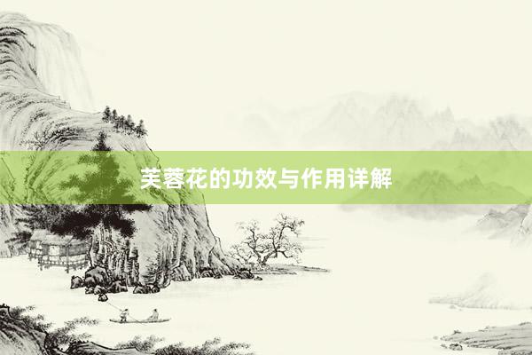 芙蓉花的功效与作用详解